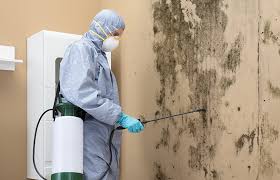 Best Asbestos and Lead Testing During Mold Inspection  in Mercer, PA